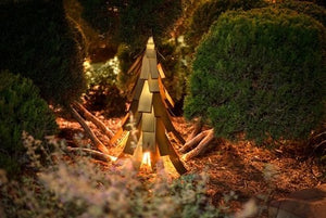 Holiday Luminaries Have Arrived