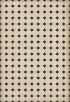 Williamsburg - Octagons - Adams