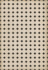 Williamsburg - Octagons - Adams