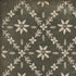 Williamsburg - Naturalist - Linnaeus