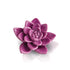 Nora Fleming Mini | Get Growing
