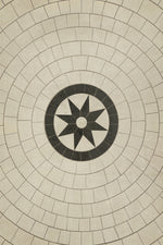 Pattern 58 - Leonine