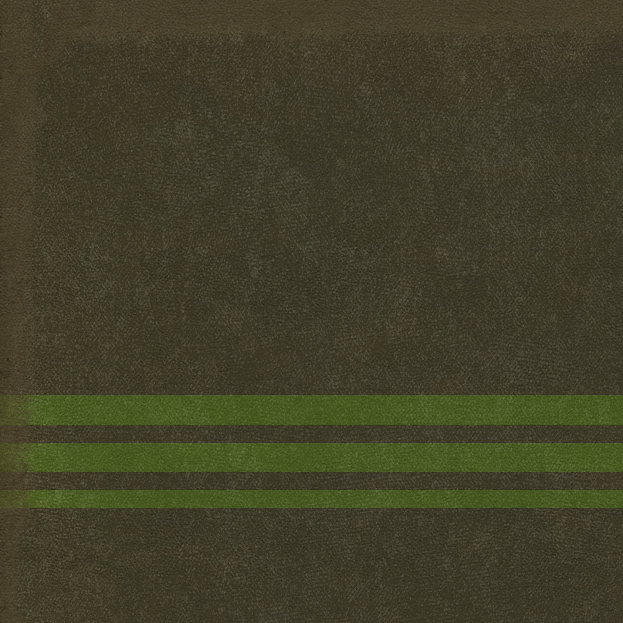 Pattern 50 - Organic Stripes Black And Green