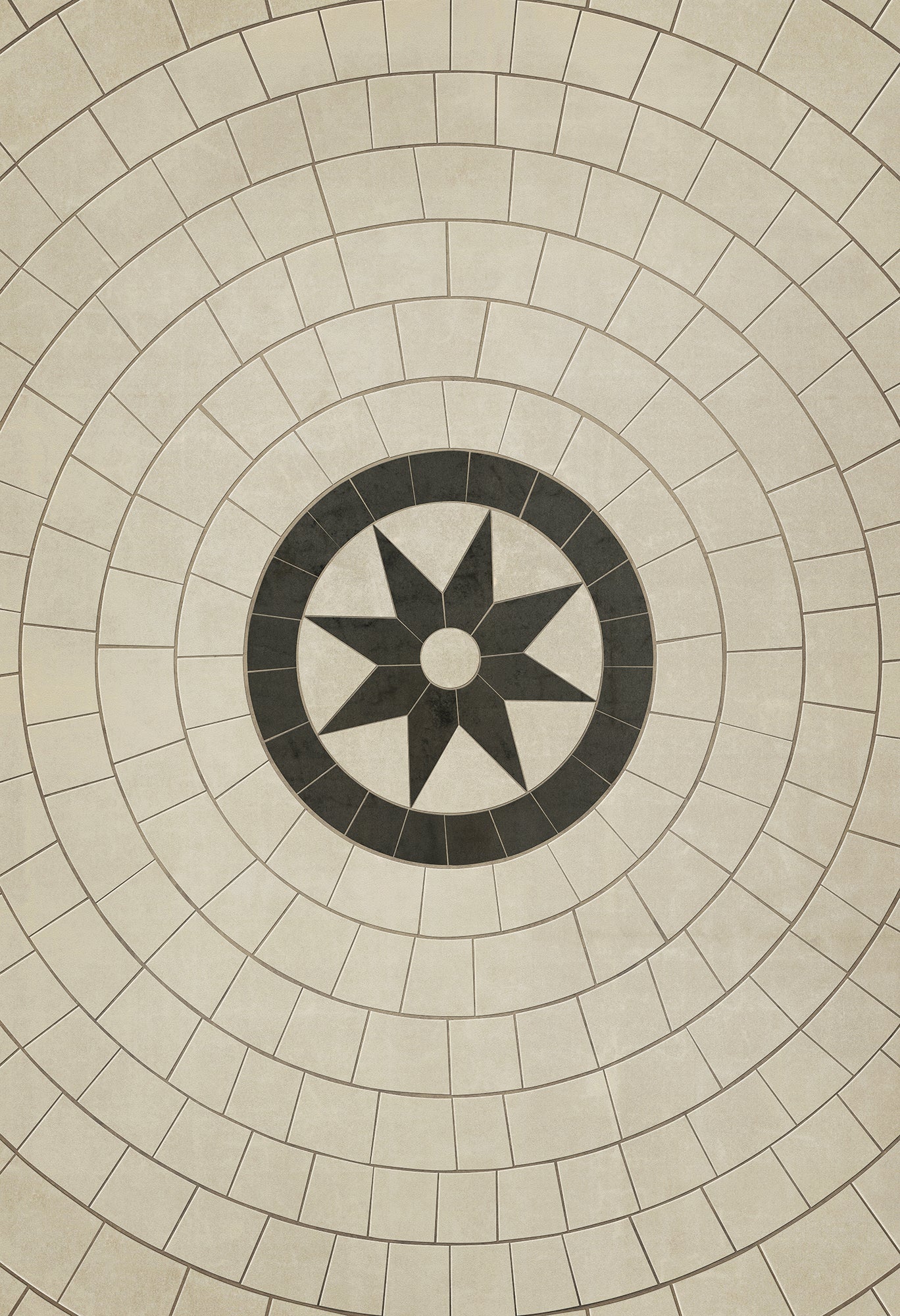 Pattern 58 - Leonine