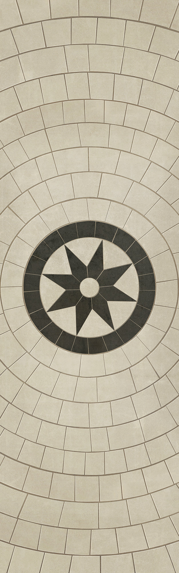 Pattern 58 - Leonine