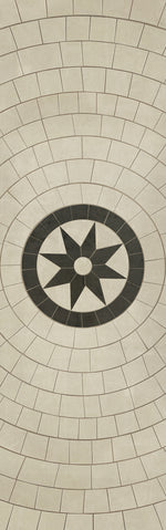 Pattern 58 - Leonine