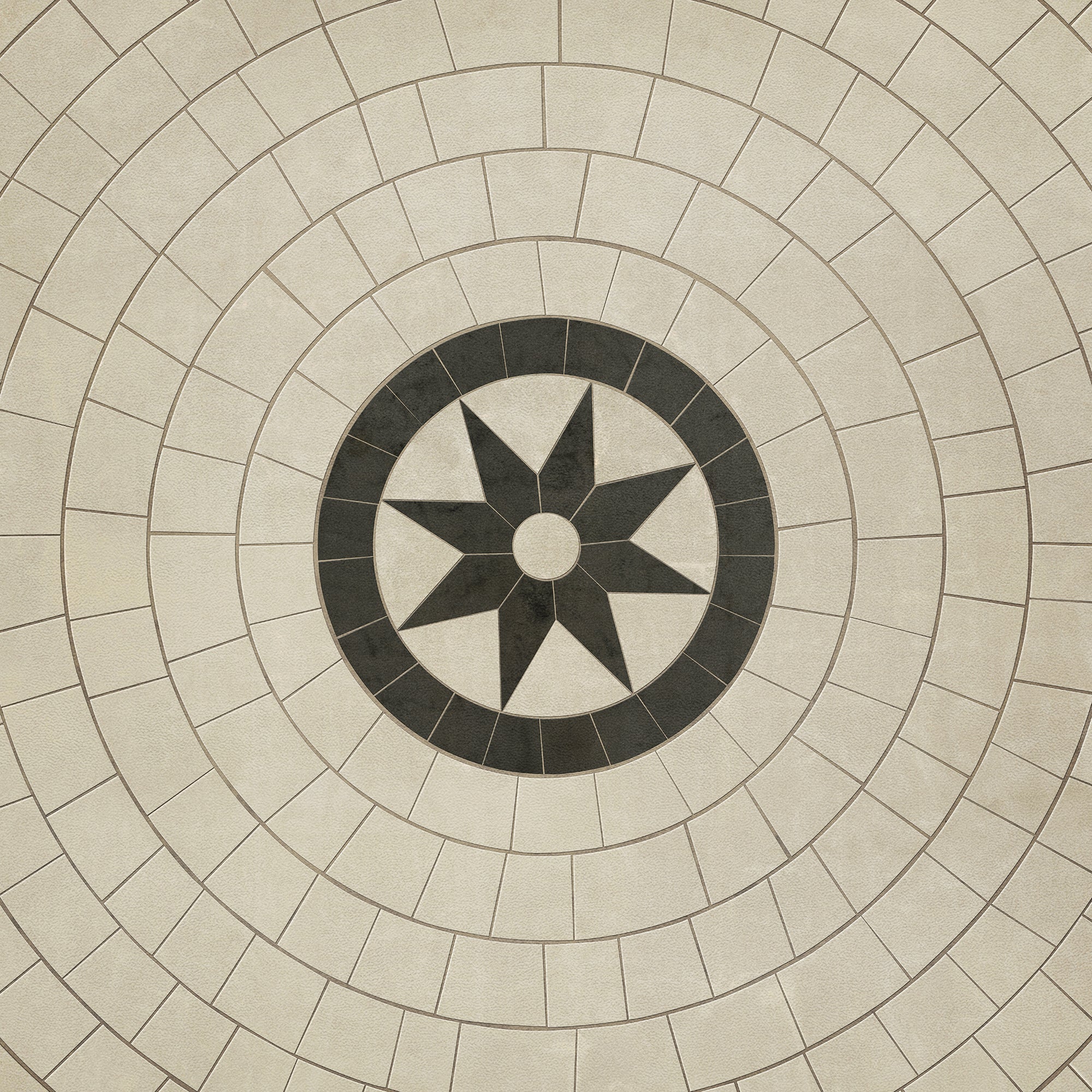 Pattern 58 - Leonine