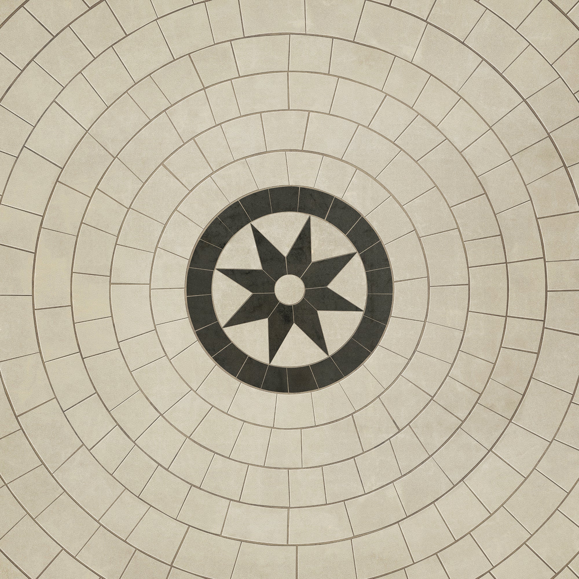 Pattern 58 - Leonine