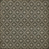 Williamsburg - Naturalist - Linnaeus