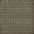 Williamsburg - Naturalist - Linnaeus