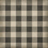 Williamsburg - Gingham Canvas - Black