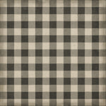 Williamsburg - Gingham Canvas - Black