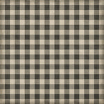 Williamsburg - Gingham Canvas - Black