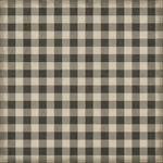 Williamsburg - Gingham Canvas - Black