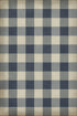 Williamsburg - Gingham Canvas - Blue