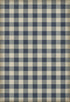 Williamsburg - Gingham Canvas - Blue