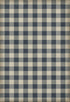 Williamsburg - Gingham Canvas - Blue