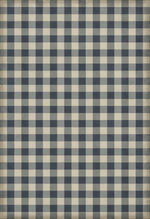 Williamsburg - Gingham Canvas - Blue