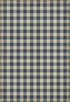 Williamsburg - Gingham Canvas - Blue