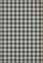 Williamsburg - Gingham Canvas - Blue