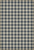 Williamsburg - Gingham Canvas - Blue