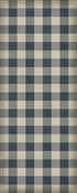 Williamsburg - Gingham Canvas - Blue