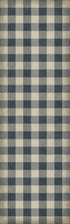 Williamsburg - Gingham Canvas - Blue
