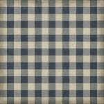 Williamsburg - Gingham Canvas - Blue