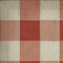 Williamsburg - Gingham Canvas - Red