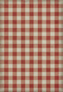 Williamsburg - Gingham Canvas - Red