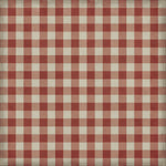 Williamsburg - Gingham Canvas - Red