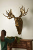Eugene The Moose Wall Mount | Eric + Eloise Collection