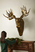 Eugene The Moose Wall Mount | Eric + Eloise Collection