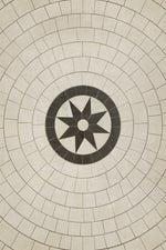 Pattern 58 - Leonine