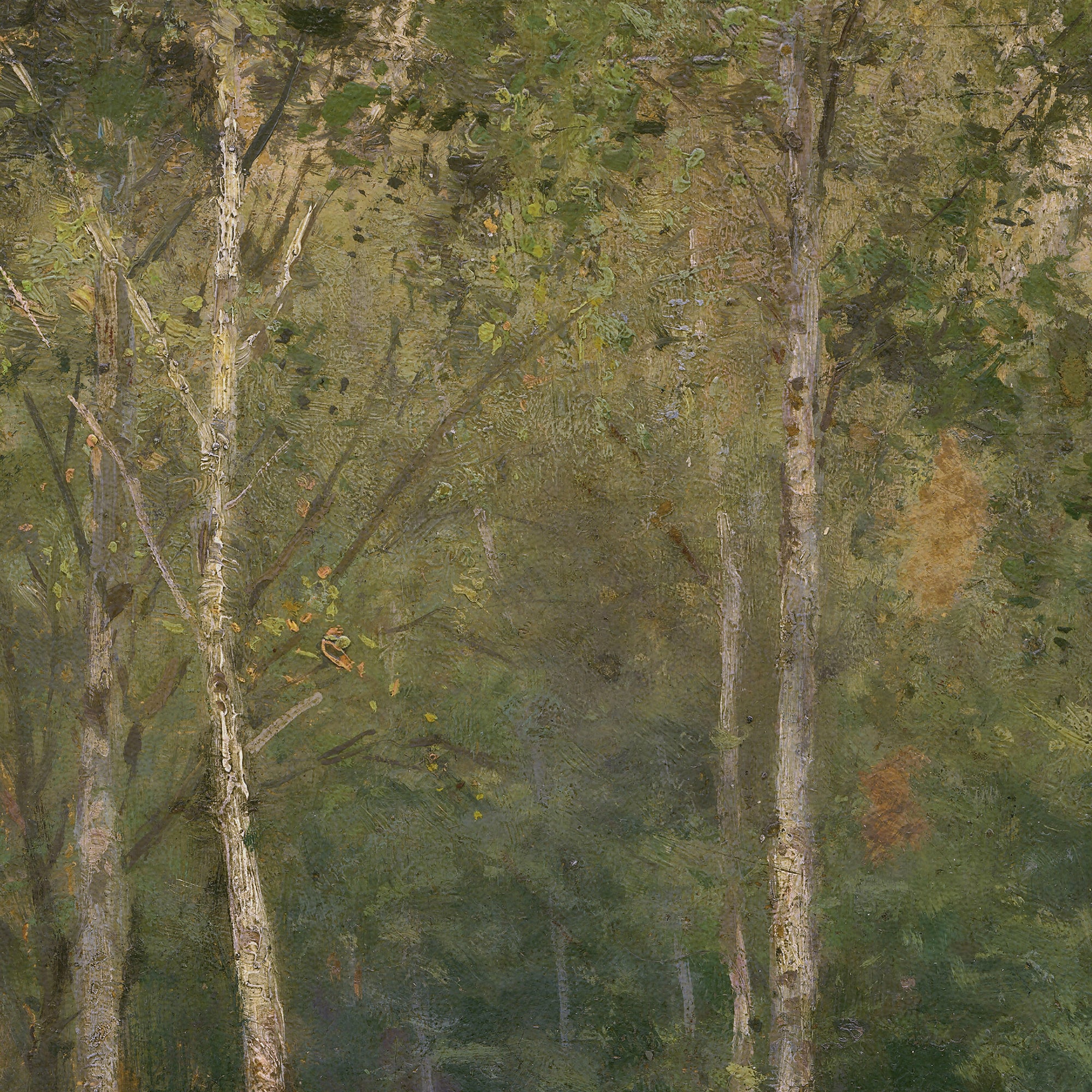 Old Masters Collection - Wooded Landscape 1894 Ludovit Cordak