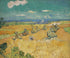 Old Masters Collection - Wheat Fields With Reaper Van Gogh