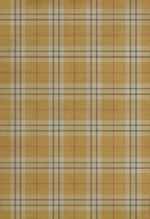 Pattern 66 - New Lanark
