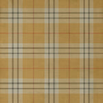 Pattern 66 - New Lanark