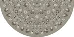 Biltmore - Arabesque Bloom - Misty Graphite