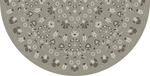Biltmore - Arabesque Bloom - Misty Graphite