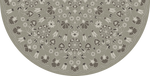 Biltmore - Arabesque Bloom - Misty Graphite
