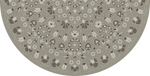 Biltmore - Arabesque Bloom - Misty Graphite