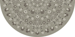 Biltmore - Arabesque Bloom - Misty Graphite