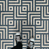 Pattern 60 - Aftereffect