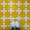 Pattern 23 - The Greater Light