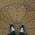Biltmore - Estate Tracery - Oak Hall